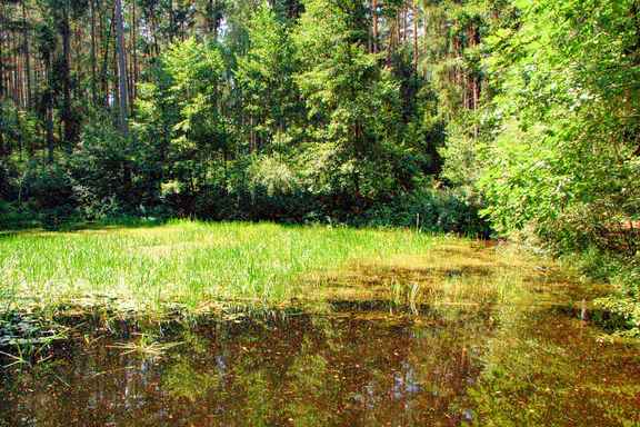 Natur-und-Bewirtschaftung-Gunnar-Foerg_w.jpg
