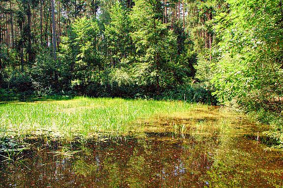 Natur-und-Bewirtschaftung-Gunnar-Foerg_w.jpg 