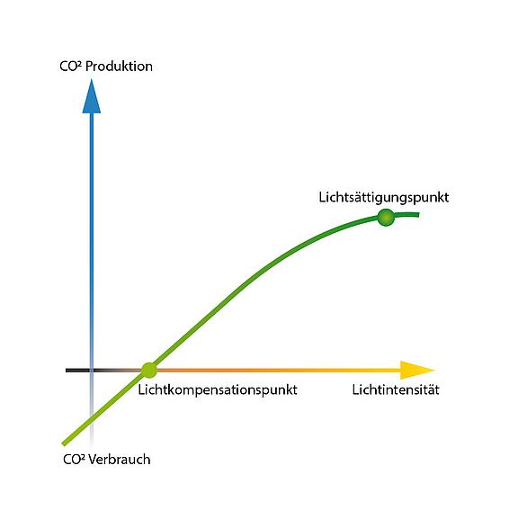 CO2 Produktion durch Lichteinfall